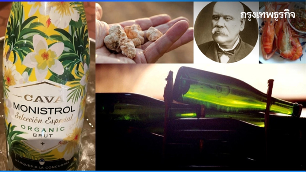 กาบา พรายฟองวิถีชีวิตชาวกาตาลัน