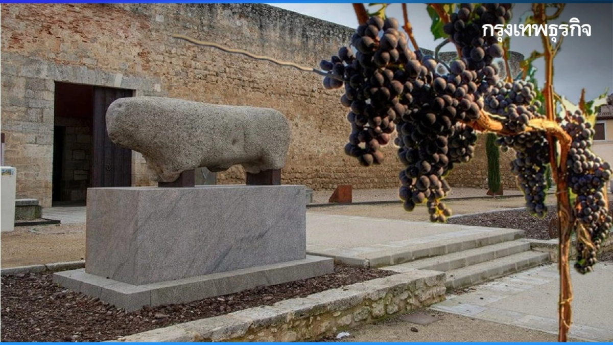 “โตโร” ไวน์สเปนพลังกระทิง