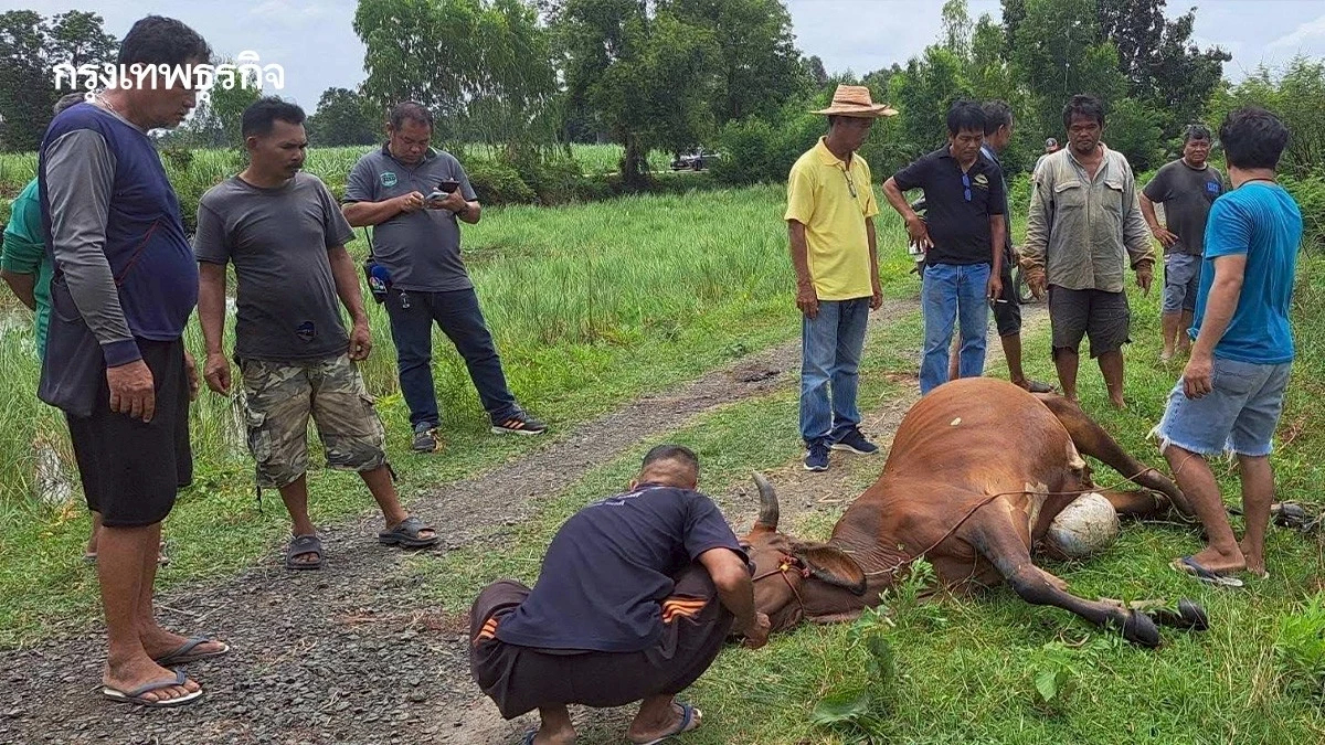 เกษตรฯ เร่งช่วยเกษตรกรชายแดนไทย- เขมร พร้อมจ่ายค่าชดเชยผลกระทบจากเหตุปะทะ