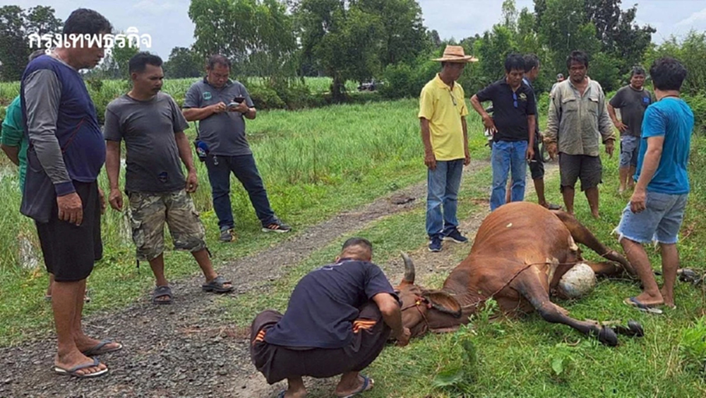 เกษตรฯ เร่งช่วยเกษตรกรชายแดนไทย- เขมร พร้อมจ่ายค่าชดเชยผลกระทบจากเหตุปะทะ