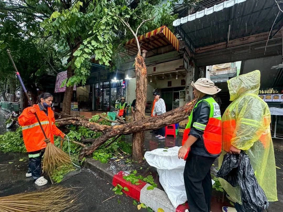 หน้าฝนนี้ต้องระวัง กทม. เร่งจัดการต้นไม้ล้ม 82 จุด แนะสังเกตต้นไม้เสี่ยง