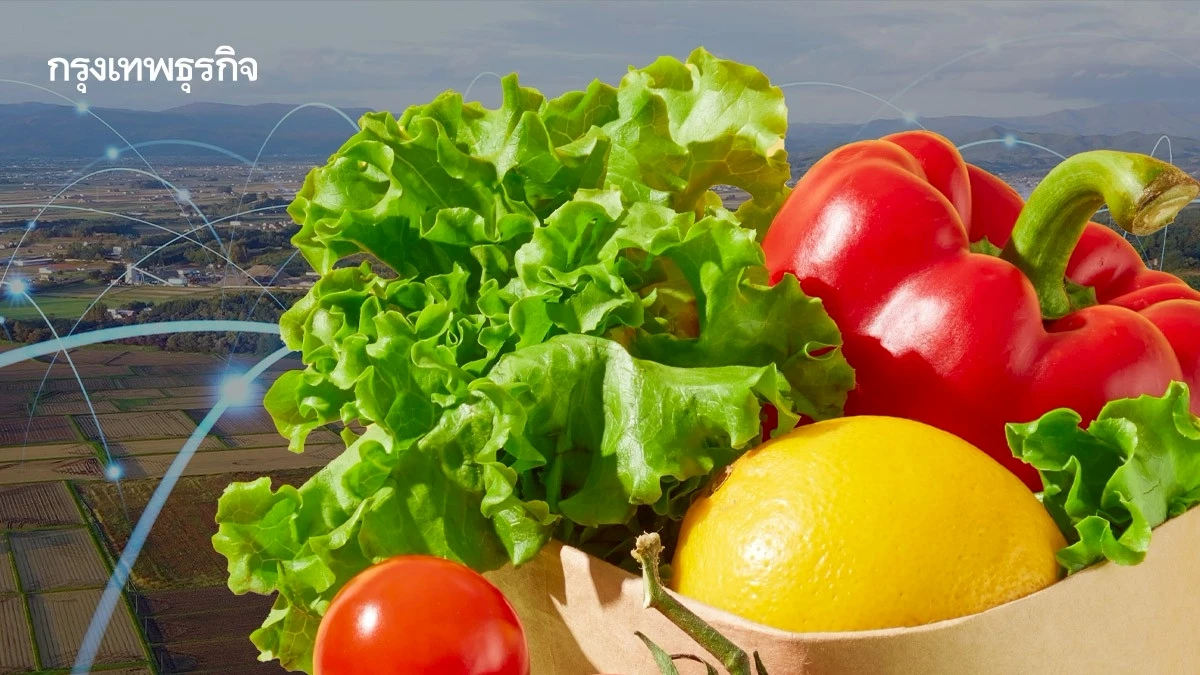 ไทยเร่งเครื่องสร้าง 'ระบบอาหารยั่งยืน' สู้ศึกเศรษฐกิจโลกผันผวน