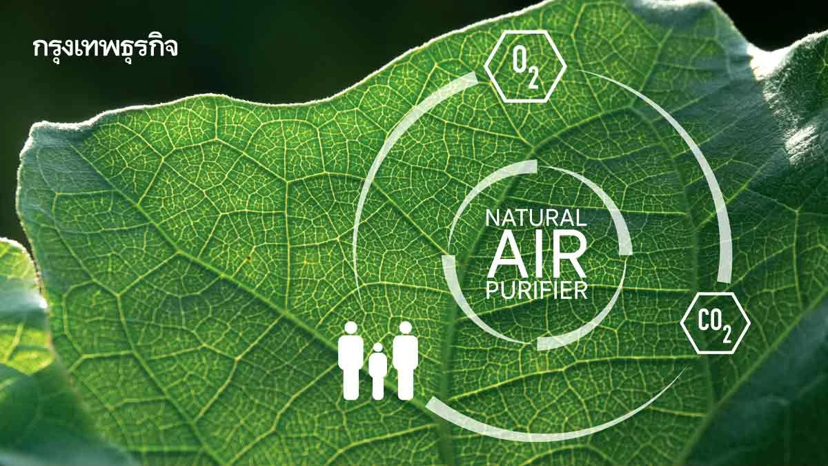 ร่างพ.ร.บ.อากาศสะอาด เปิดรับความเห็นในบริบทนโยบายด้านพลังงาน