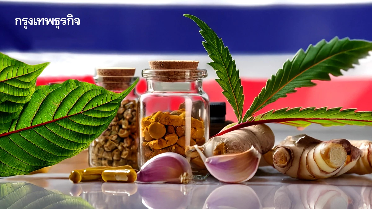 โอกาสใหม่ 'อุตสาหกรรมยาไทย' รับมือสหรัฐเก็บภาษีนำเข้ายา 200%