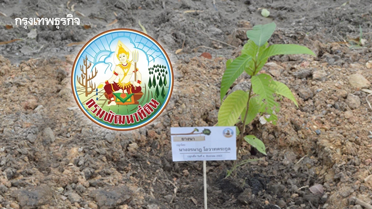 กรมพัฒนาที่ดิน หนุนเกษตรกรใช้ e-Service ตรวจสอบดิน รู้ผลไว วางแผนปลูกพืชได้อย่างแม่นยำ