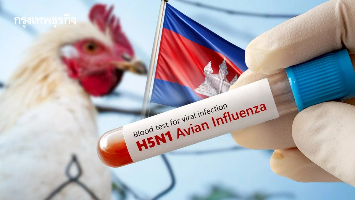 กรมควบคุมโรค จับตา 'ไข้หวัดนก' ในกัมพูชา หลังพบกระจาย 9 จังหวัด