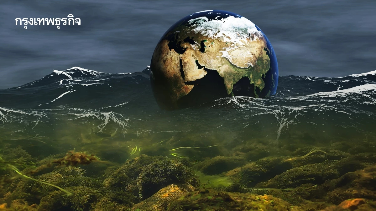 มหาสมุทรเป็นกรดเกินขีดจำกัด 'ระเบิดเวลา' สำหรับระบบนิเวศทางทะเลทั่วโลก