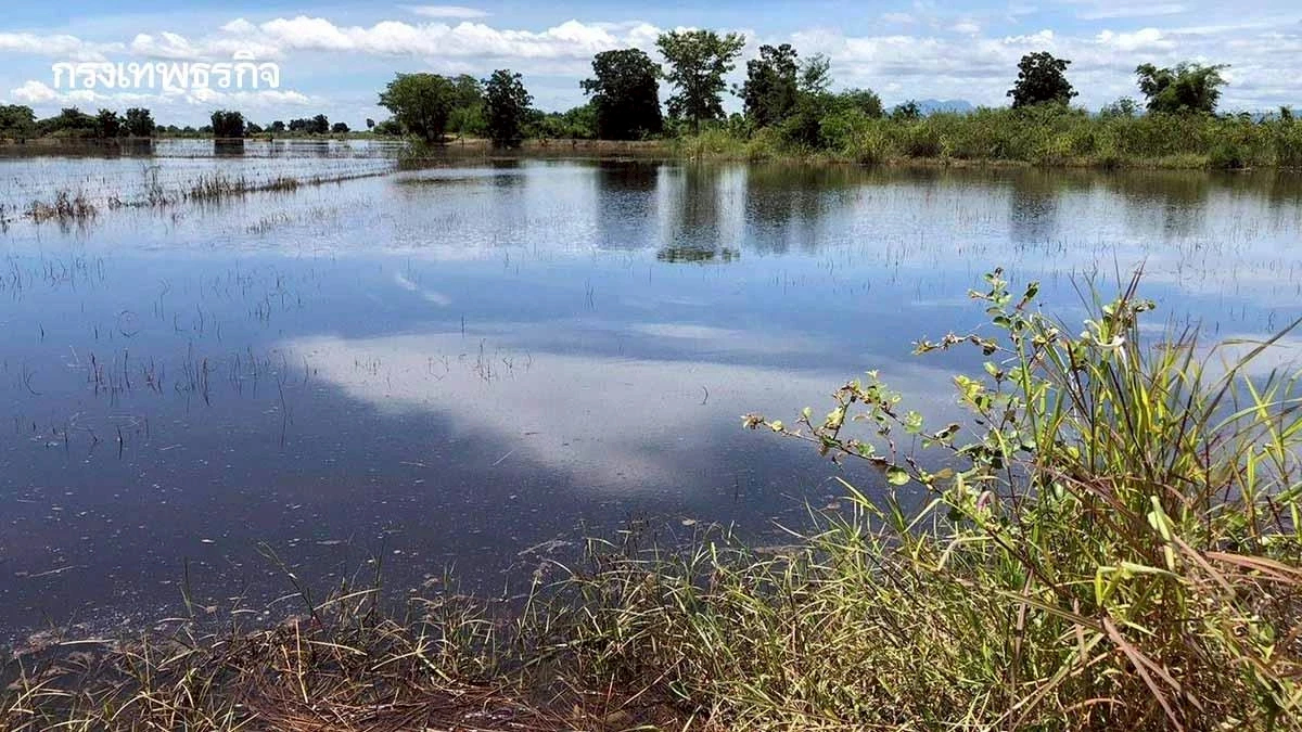 กรมพัฒนาที่ดินเล็งเข้าฟื้นฟูหลังน้ำท่วม ดินพัง น้ำเน่า