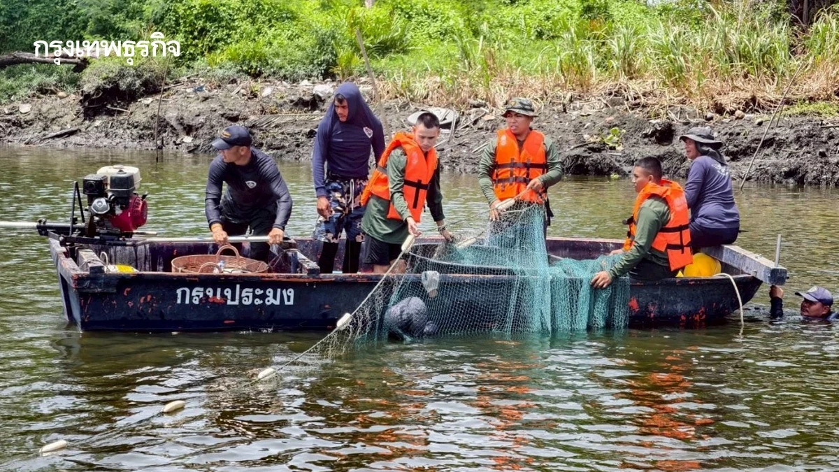 'ปลาหมอคางดำ' ความจริงที่หายไป ไม่มีข้อมูล ไม่จ่ายเงินชดเชย'