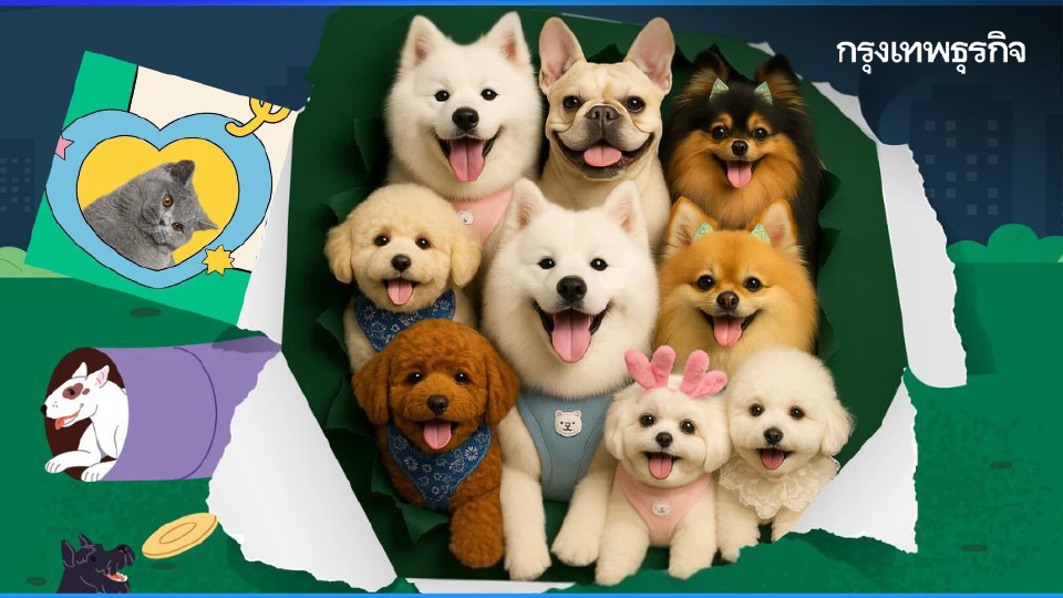 ‘คนรักสัตว์’ ต้องมางานนี้  KICK OFF จดทะเบียนสัตว์เลี้ยง กรุงเทพมหานคร 2-3 ส.ค. 68