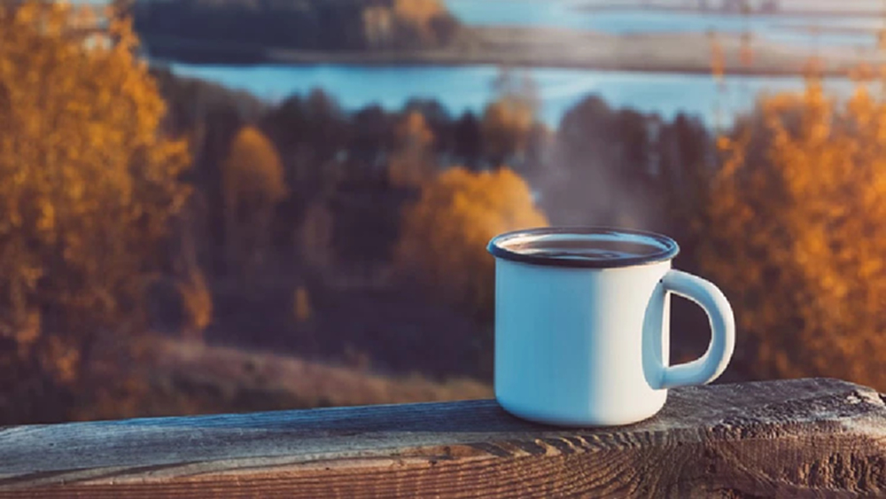 Silence Therapy 'ความเงียบบำบัด' ชะล้างจิตใจได้อย่างไร