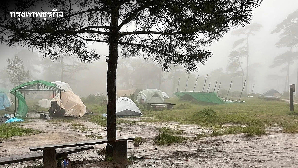 ฝนตกหนัก ลมแรง อช.ภูสอยดาว ปิดท่องเที่ยว-พักแรมบริเวณลานสนชั่วคราว