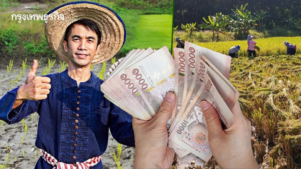 ใครได้บ้าง เงินช่วยเหลือชาวนา ข้าวนาปี ไร่ละ 1200 นาปรัง ไร่ละ 1000