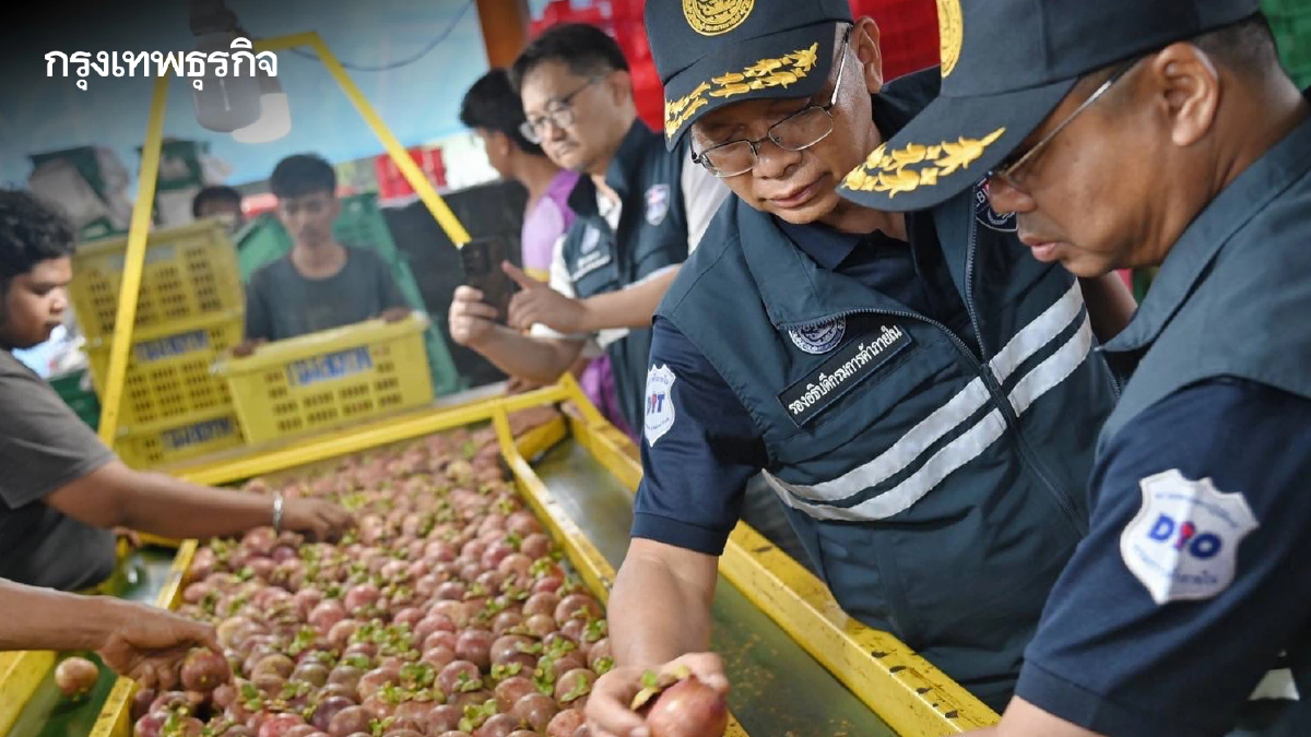 อัปเดต ราคามังคุด ล่าสุด พาณิชย์ ผนึกเอกชน เปิดจุดรับซื้อต่อเนื่อง