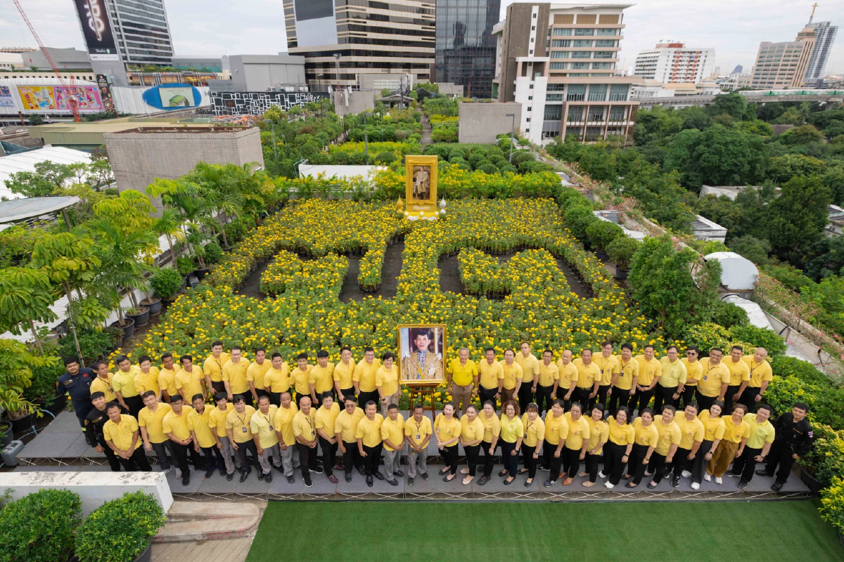 กลุ่มบริษัทสยามพิวรรธน์ ร่วมแสดงพลังแห่งความจงรักภักดี ปลูกดอกดาวเรือง กว่า 7,300 ต้น