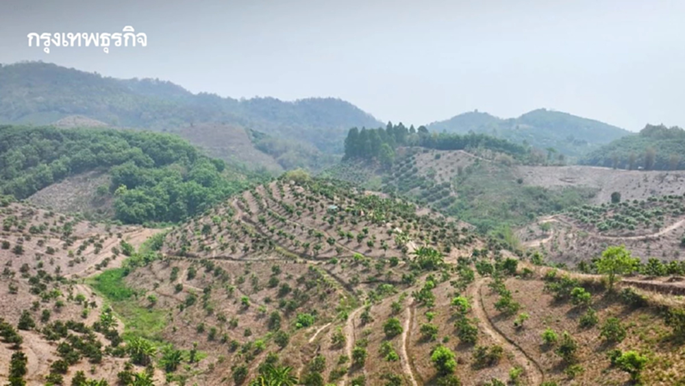 กรมพัฒนาที่ดิน พลิกฟื้นชีวิตเกษตรกรต้นน้ำ ด้วย บ้านเล็กในป่าใหญ่ และแม่วากโมเดล