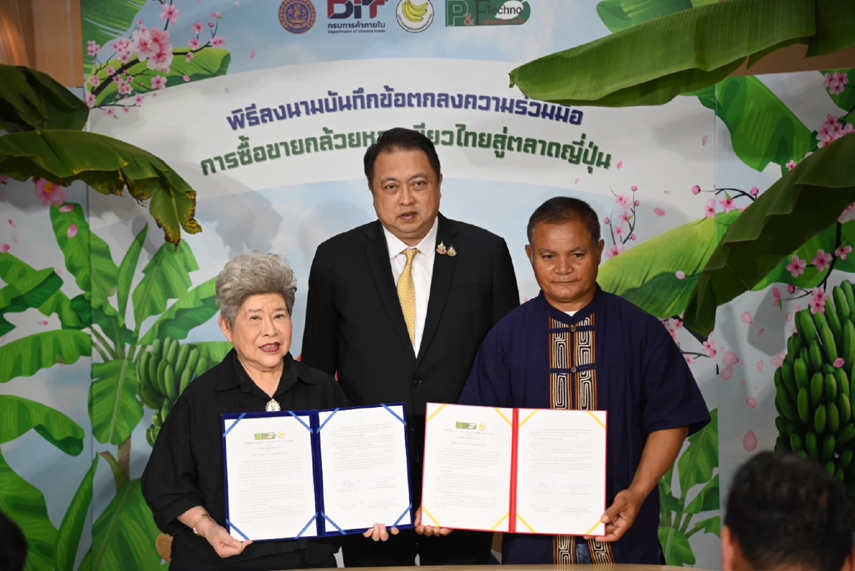 “สุชาติ”  ใช้ ตลาดนำการผลิต หนุน”กล้วยหอมเขียว“ สู่ตลาดส่งออกญี่ปุ่น