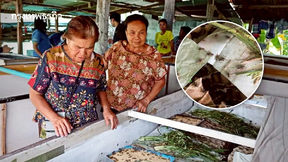 กระทรวงเกษตรฯ หนุน เกษตรกรสร้างรายได้จากสมุนไพร แมลงเศรษฐกิจ