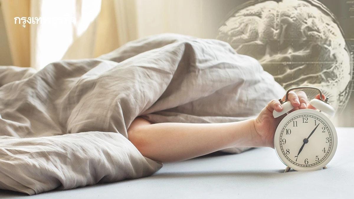 สนูซบ่อยสมองพังไม่รู้ตัว เลื่อนปลุกทุกเช้า ส่งผลประสิทธิภาพงาน