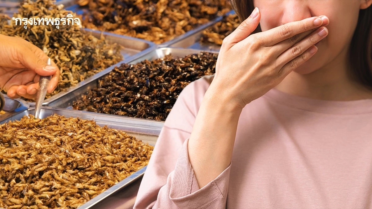 คนไม่เปิดใจกิน ‘แมลง’ รู้สึก ‘ขยะแขยง’ แม้รู้ว่าให้โปรตีนสูง ดีต่อโลก