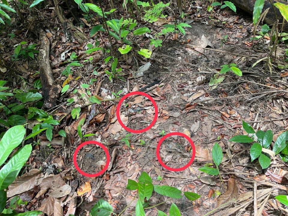 'กองทัพ' เร่งตรวจสอบทุนระเบิด สังหารบุคคล PMN-2 วางใหม่ ทำทหารไทยเจ็บ