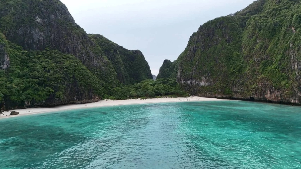 ฝูง 'ฉลามครีบดำ' นับร้อย โผล่อ่าวมาหยา ชี้คืนชีพแหล่งท่องเที่ยวดัง