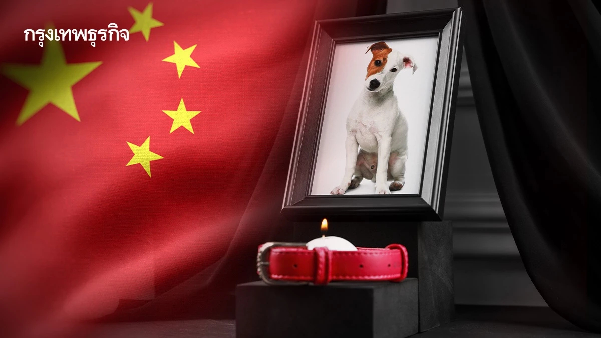 ส่อง "ตลาดพิธีศพสัตว์เลี้ยง "ในจีน สายเปย์ยอมทุ่มทุนส่ง "”น้อง"ครั้งสุดท้าย
