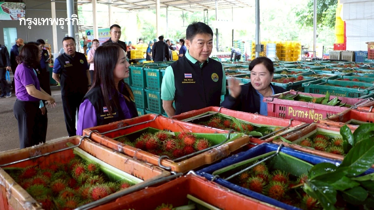 กรมส่งเสริมสหกรณ์ หนุนกระจายผลไม้ ปี 68 ผ่านเครือข่ายสหกรณ์