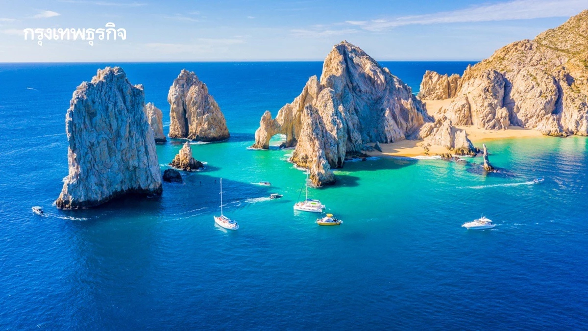 พลิกวิกฤติ 'กู้แนวปะการัง' ชุมชนเม็กซิกันคืนชีวิตทะเล