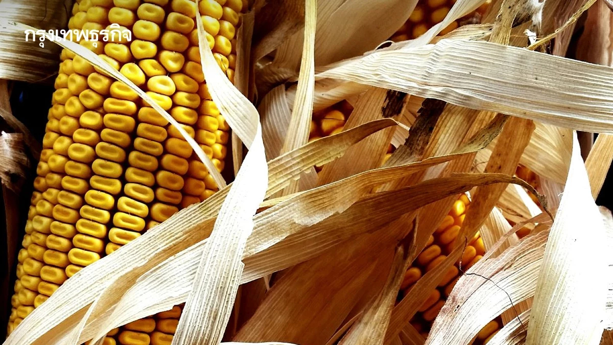 สศก.ย้ำ กระบวนการพยากรณ์แนวโน้มสินค้าเกษตร บนข้อมูลที่เป็นจริง