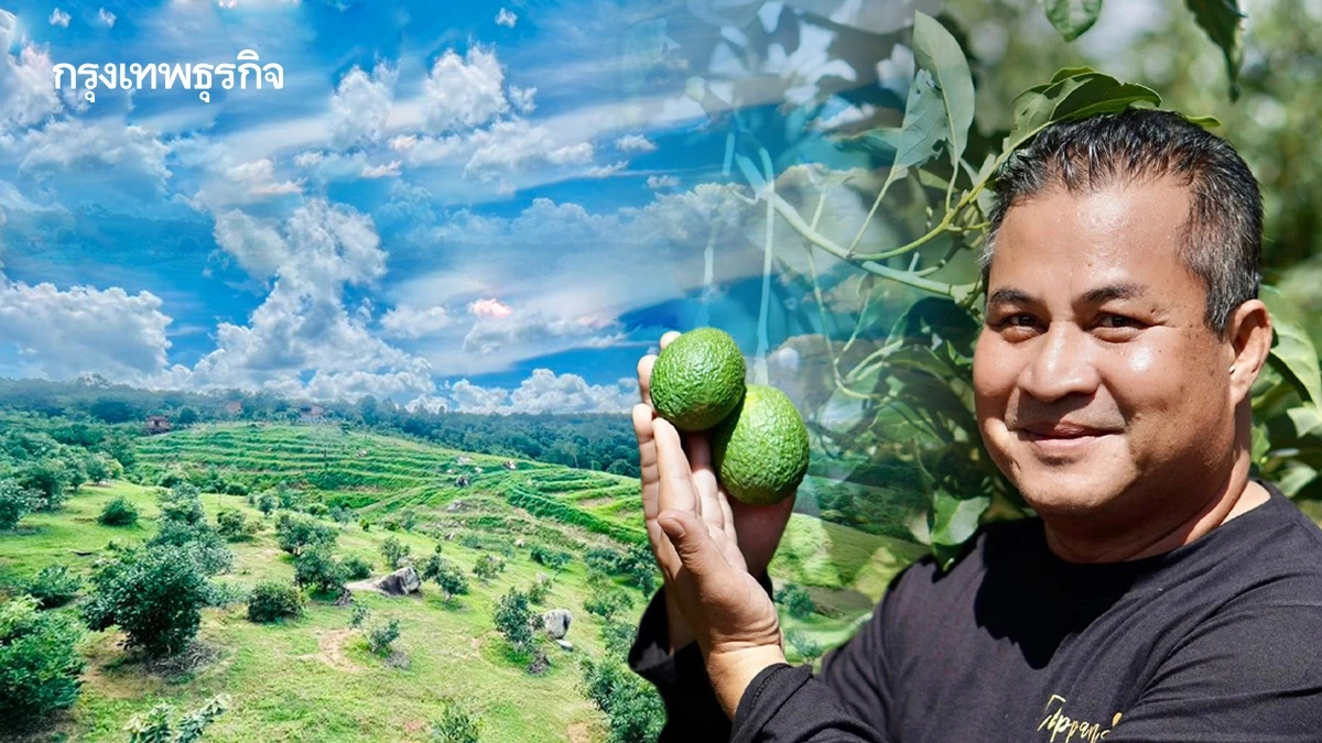 ‘โรงเรียนเกษตรกรอะโวคาโด’ ต้นแบบชุมชนคาร์บอนต่ำ เปลี่ยนไร่มันสำปะหลัง สร้างธรรมชาติที่ยั่งยืน