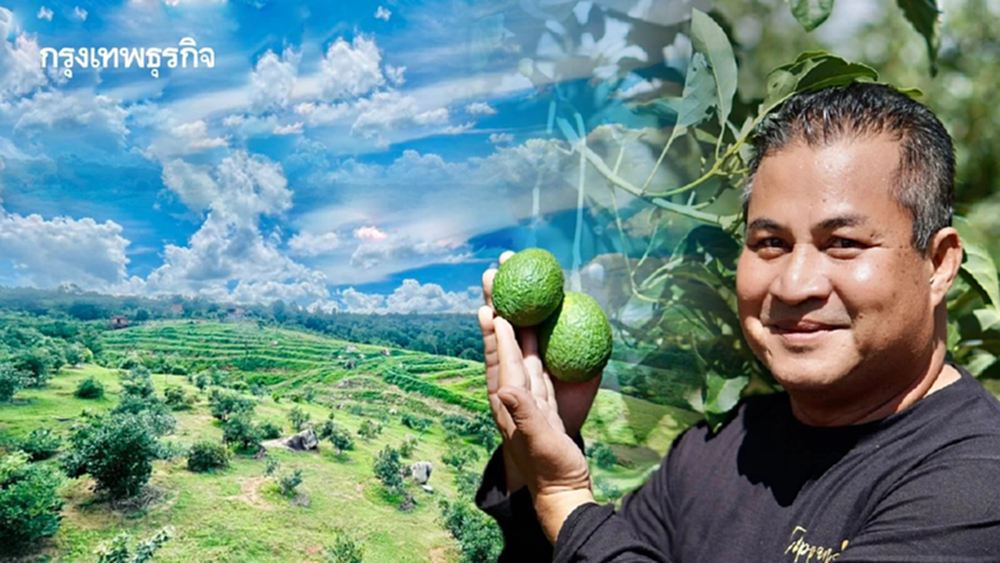 ‘โรงเรียนเกษตรกรอะโวคาโด’ ต้นแบบชุมชนคาร์บอนต่ำ เปลี่ยนไร่มันสำปะหลัง สร้างธรรมชาติที่ยั่งยืน