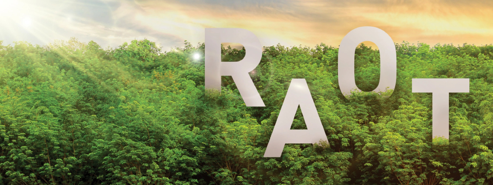 กยท.มั่นใจมูลค่ายางปี 68 แตะ 3 แสนล้าน จ่อเอ็มโอยูหน่วยงานรัฐ เพิ่มปริมาณการใช้