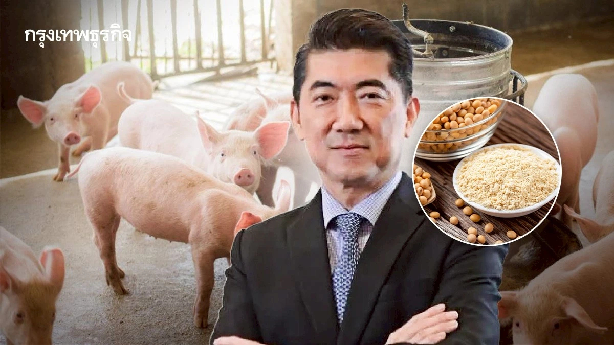 ซีพีเอฟ แนะรัฐรอบคอบนำเข้าหมูสหรัฐ ข้าวโพด กากถั่ว ป้องสุขภาพหนุนความมั่นคงอาหาร