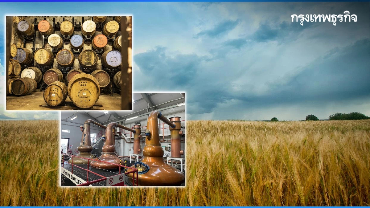 เกลนกอยน์ (Glengoyne) ซิงเกิล มอลต์ แห่งหุบเขาห่านป่า