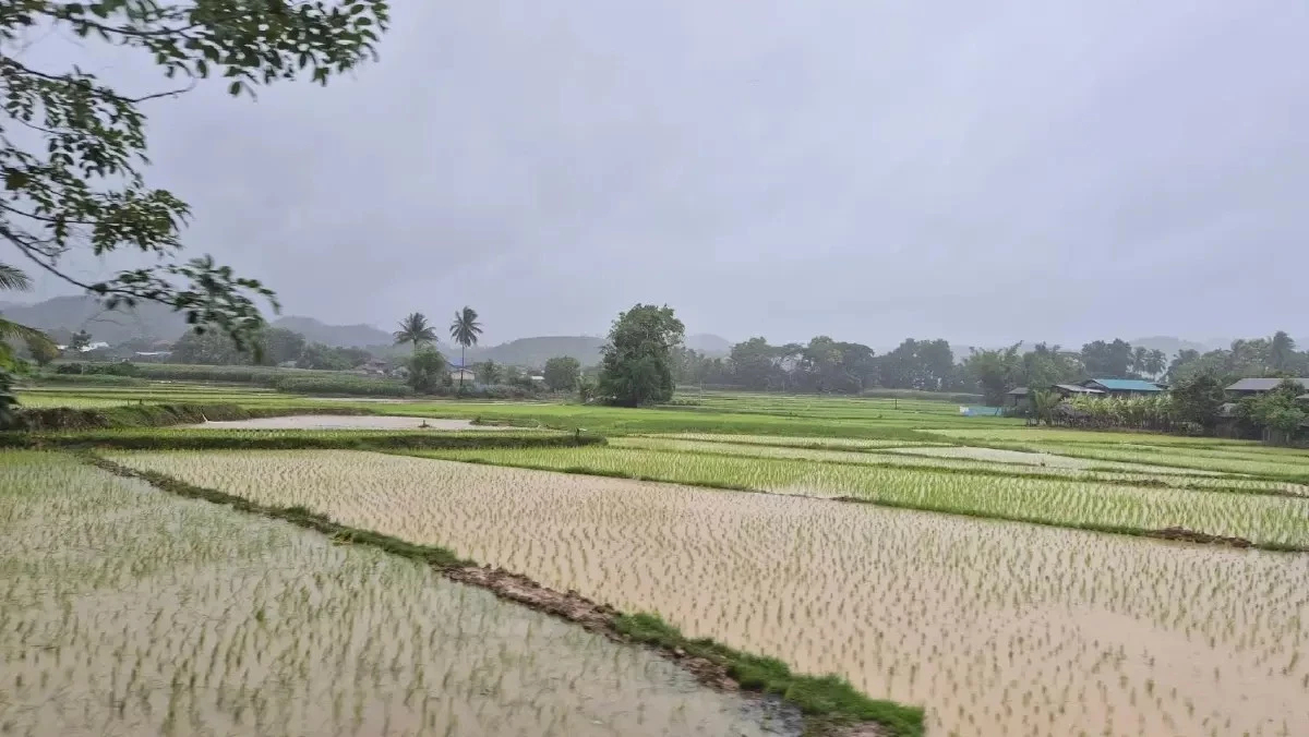 เพิ่มมูลค่าวัสดุเหลือใช้ทางการเกษตร สร้างรายได้เพิ่ม-ลดต้นทุนการผลิต