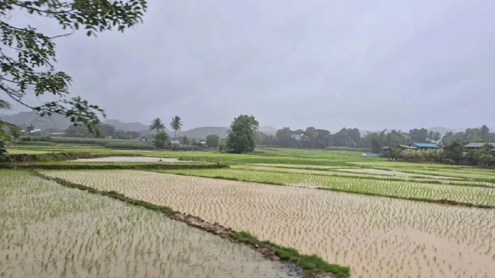 เพิ่มมูลค่าวัสดุเหลือใช้ทางการเกษตร สร้างรายได้เพิ่ม-ลดต้นทุนการผลิต