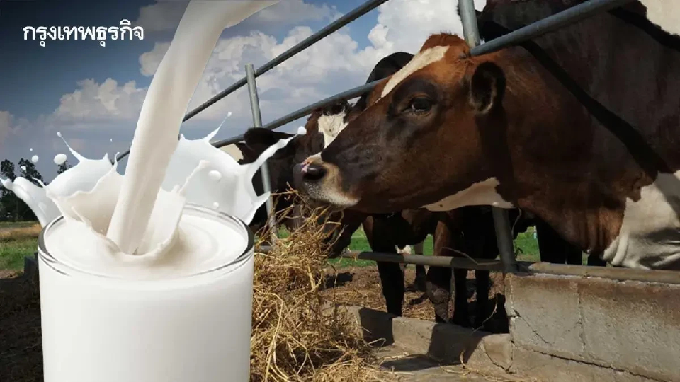 อนุมัติ อ.ส.ค. ใช้เงินกองทุนฯ 200 ล. ไม่มีดอกเบี้ย รับซื้อน้ำนมดิบ