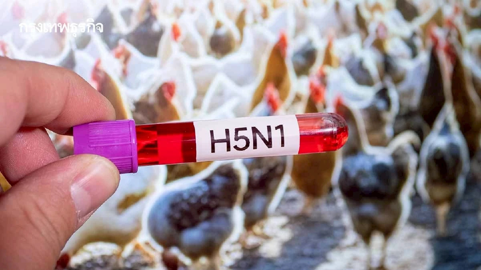 รัฐบาล ยกระดับคุมเข้ม 'ไข้หวัดนก H5N1' หลังพบระบาดหนักในกัมพูชา