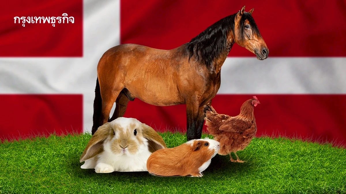 สวนสัตว์เดนมาร์กรับบริจาคสัตว์เลี้ยง เพื่อนำไปเป็นอาหารสัตว์นักล่า