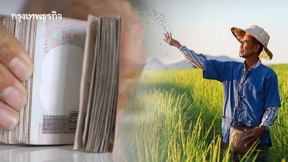 ได้เงินยังไง? ไร่ละ 1000 เงินช่วยเหลือชาวนาเกษตรกร ข้าวนาปรัง 68