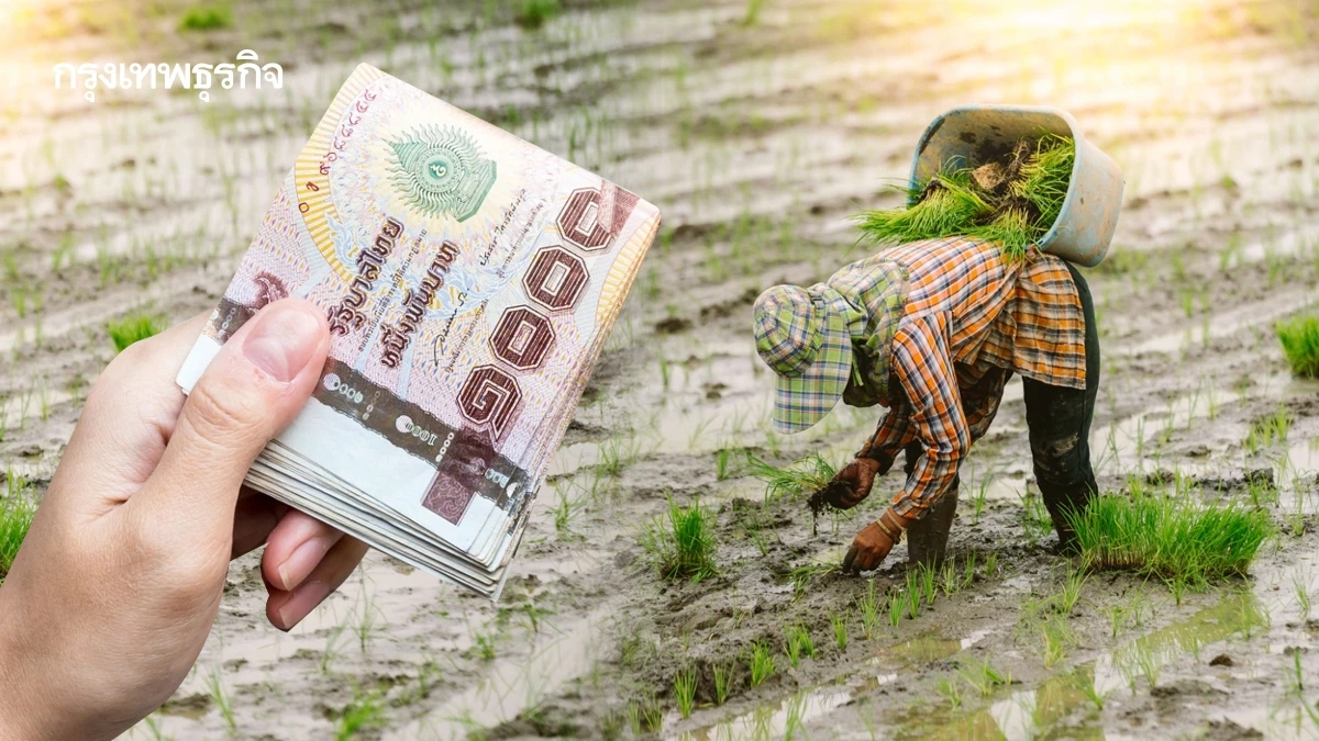 'สลค.' ติงแจกเงินไร่ละพันอุ้มนาปรัง ห่วงพื้นที่ปลูกข้าวพุ่ง