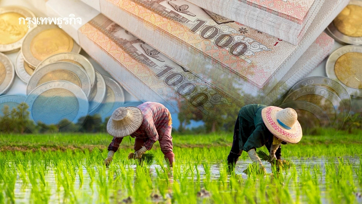 วิธีตรวจสอบสถานะชาวนา เงินช่วยเหลือเกษตรกร ไร่ละ 1000 ธกส. โอนตรง
