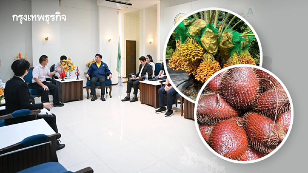 กรมวิชาการเกษตร ลุ้นจีนเปิดนำเข้า 'อินทผลัม'และ 'สละ' ของไทย