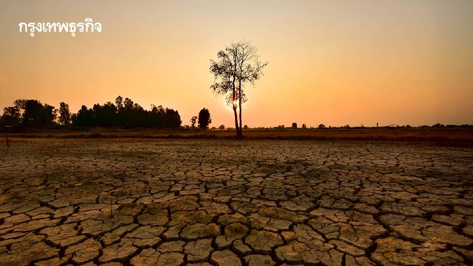 'ภัยแล้ง' ภัยคุกคามเงียบที่กำลังคืบคลานเข้าสู่ประเทศไทยและทั่วโลก