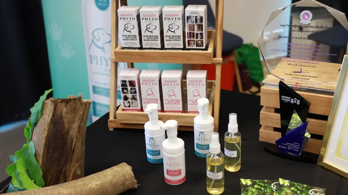 มช. ดันนวัตกรรมสมุนไพร ‘สเปรย์นาโนขะจาว’ เจาะตลาดสัตว์เลี้ยงไทย-ตปท.