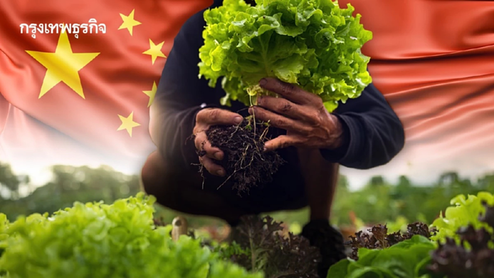 จีนปักธง 'อาหารเพื่อความยั่งยืน' ชี้เป้าลดความเสี่ยงอาหารจากวิกฤติสภาพภูมิอากาศ