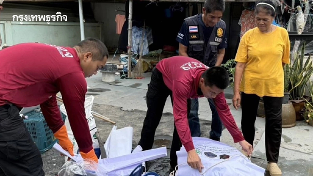 ตำรวจ เมืองสมุทรสงครามสร้างความมั่นคงทางอาหาร ด้วย น้ำปลาจาก ปลาหมอคางดำ