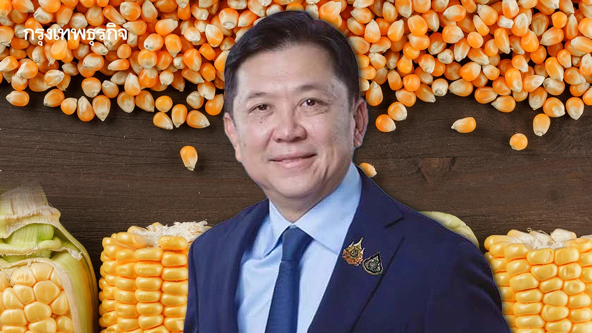 'ราคาข้าวโพดเลี้ยงสัตว์'ในประเทศร่วง 'จตุพร'ปัดปมสินค้าเกษตรสหรัฐป่วน