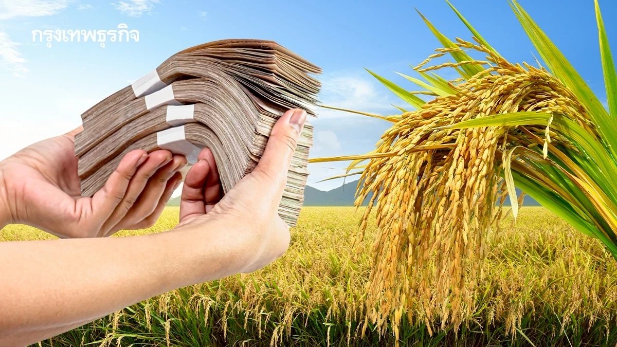 บอร์ด ธ.ก.ส.จ่ออนุมัติโอนไร่ละ 1,000 บาท เริ่ม 1 ก.ย.68 อุ้มเกษตรกรนาปี - นาปรัง